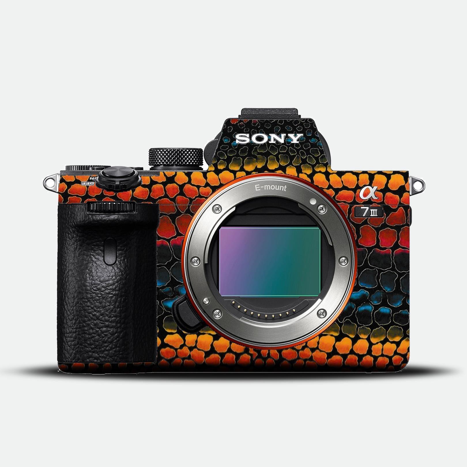 Fiesta Stripe Camera Skin