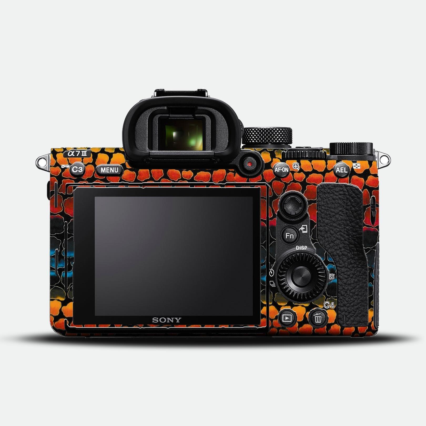 Fiesta Stripe Camera Skin